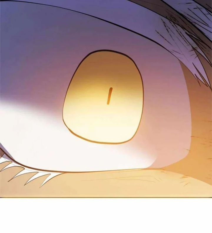 Tôi Chỉ Là Người Khuân Vác Trong Hầm Ngục Chapter 56 - 213