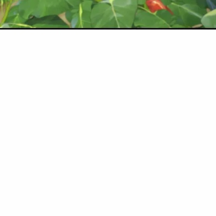 Làm Nông Dân Trong Tòa Tháp Thử Thách Chapter 125 - 92