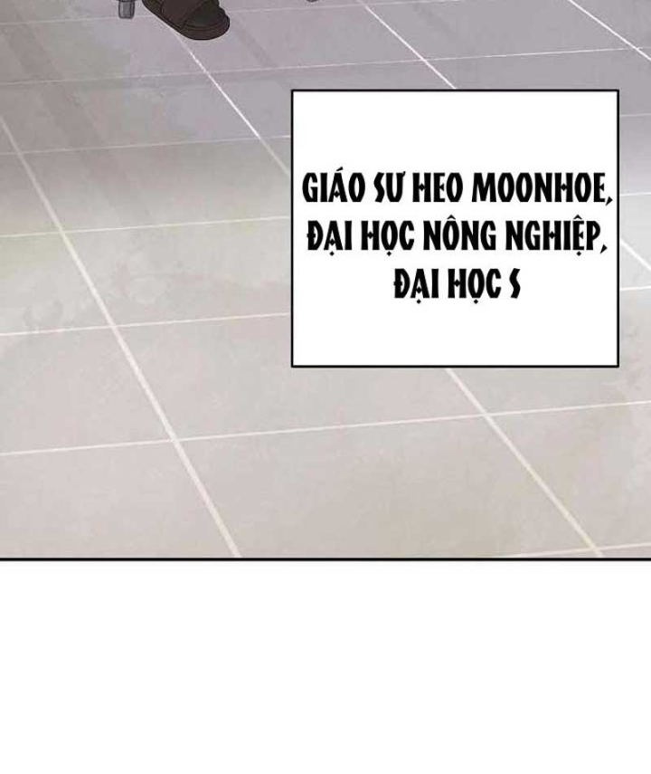 Đại Tài Phiệt Chân Chính Chỉ Có Mình Tôi Chapter 6 - 81