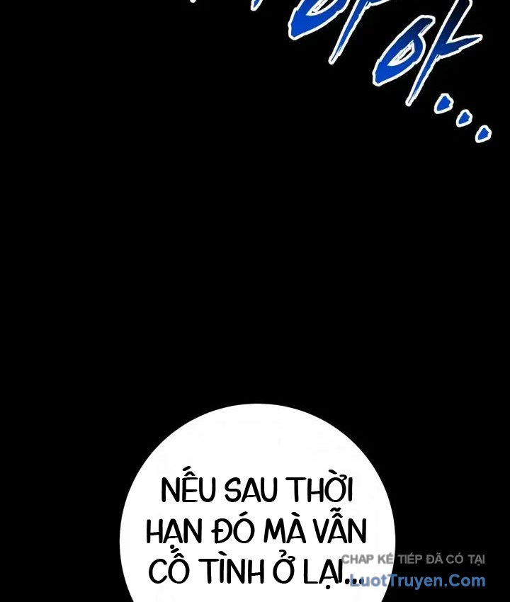 Kỵ Sĩ Lang Thang Chapter 36 - 31