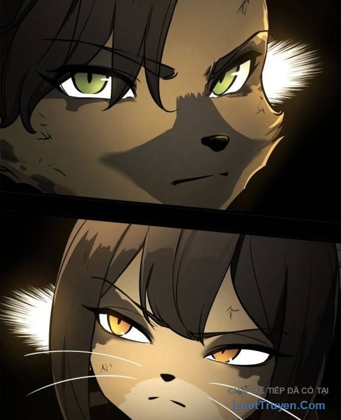 Kỵ Sĩ Lang Thang Chapter 37 - 144