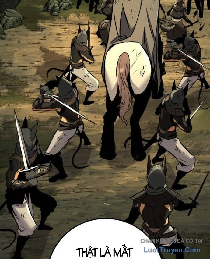 Kỵ Sĩ Lang Thang Chapter 37 - 160