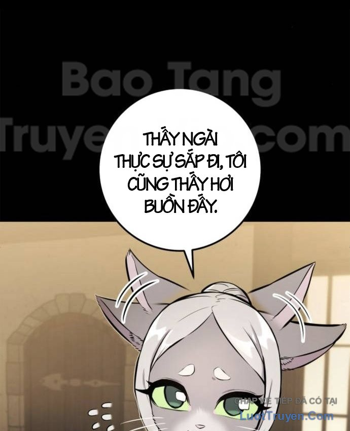 Kỵ Sĩ Lang Thang Chapter 37 - 64