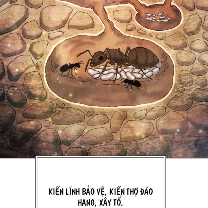 Chuyển Sinh Vào Thế Giới Võ Lâm Chapter 182 - 228