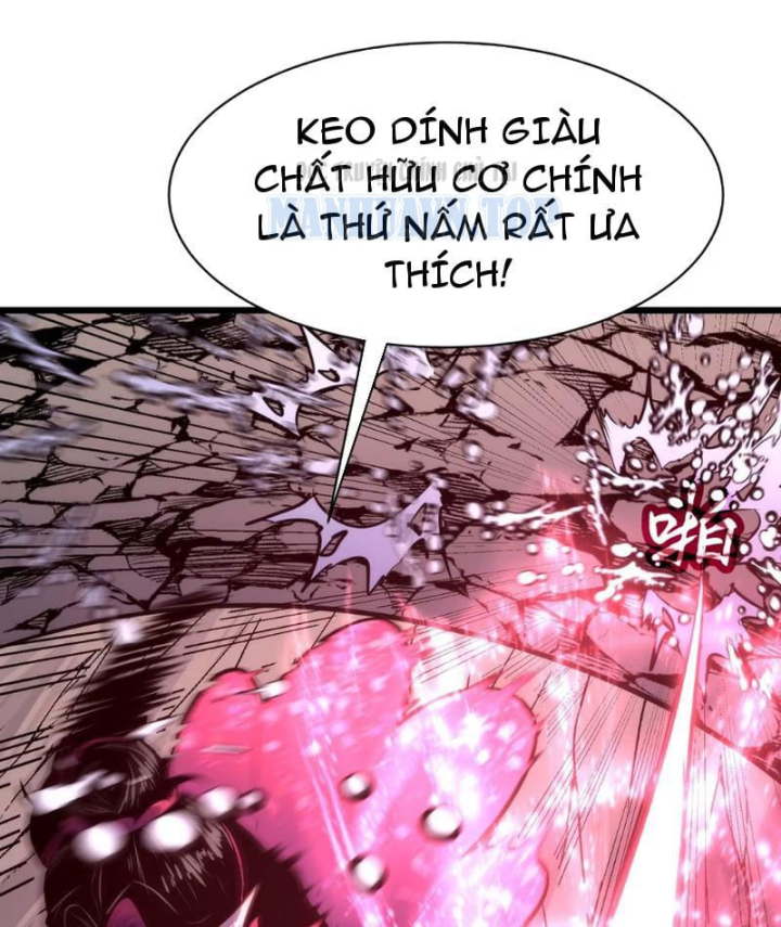 Trùng Sinh Bắt Đầu Từ Cây Nấm Chapter 17 - 59