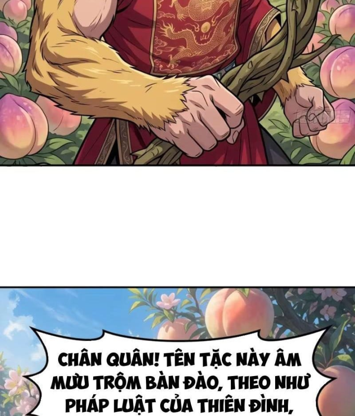 Ta Làm Bật Mã Ôn Tại Thiên Đình Chapter 23 - 51