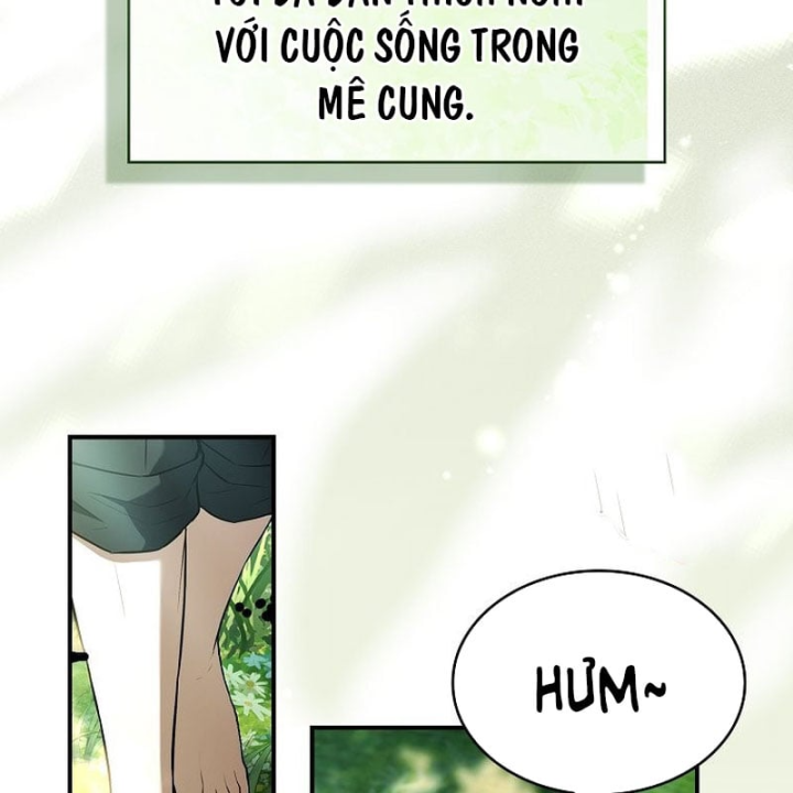 Mặc Kệ Kế Vị, Tôi Chỉ Muốn Chữa Lành Chapter 23 - 157