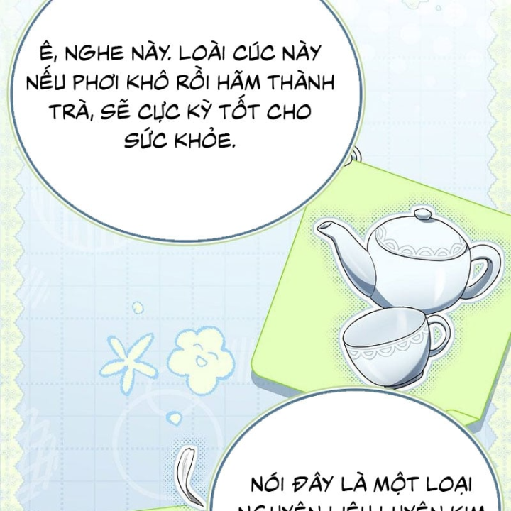 Mặc Kệ Kế Vị, Tôi Chỉ Muốn Chữa Lành Chapter 24 - 19