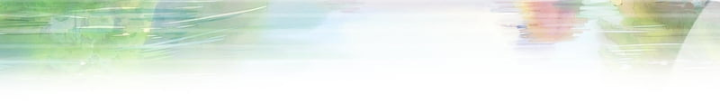 Võ Đại Lang Mạnh Nhất Tái Sinh Ở Thế Giới Thủy Hử Chapter 76 - 11