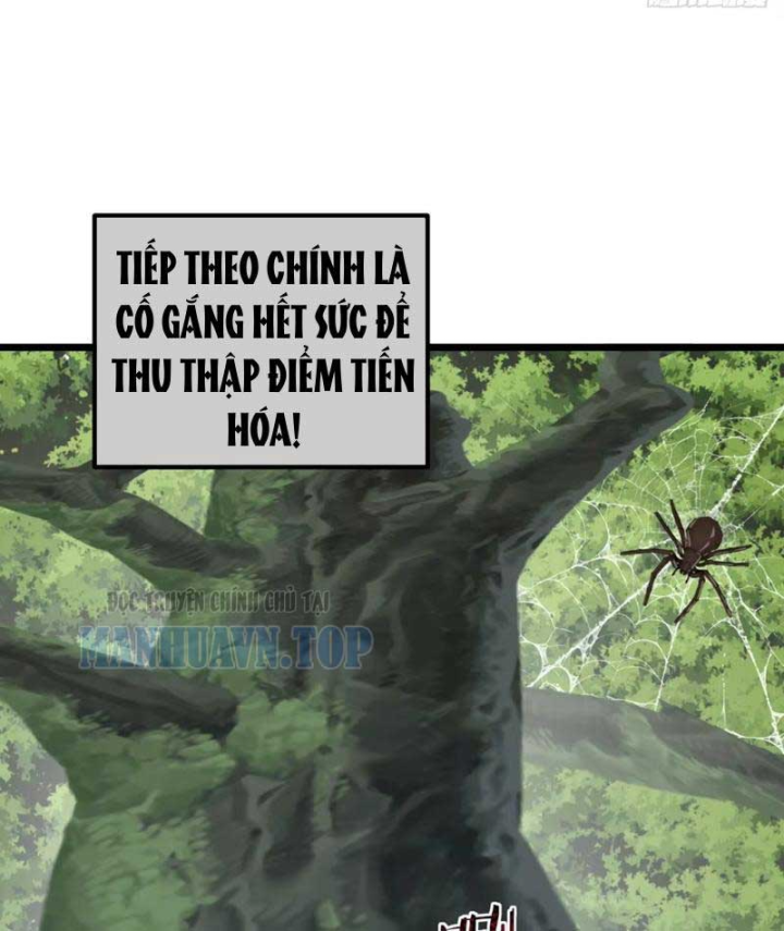 Tiểu Thế Giới Kỳ Nhạc Vô Tận Chapter 38 - 100