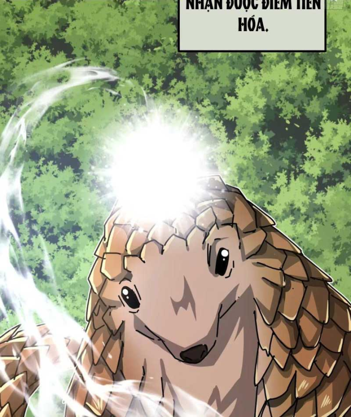 Tiểu Thế Giới Kỳ Nhạc Vô Tận Chapter 38 - 106