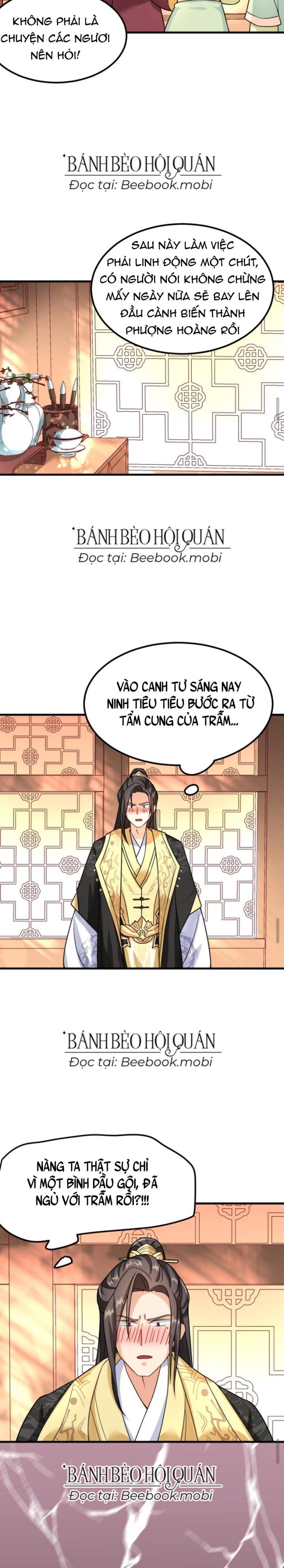 Bắt Ta Làm Cung Nữ? Ta Liền Cho Bạo Quân Quỳ Ván Giặt Đồ!!!! Chapter 84 - Trang 2