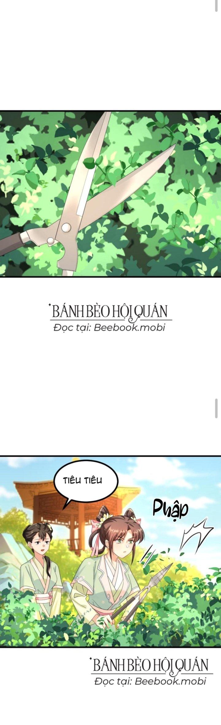 Bắt Ta Làm Cung Nữ? Ta Liền Cho Bạo Quân Quỳ Ván Giặt Đồ!!!! Chapter 98 - Trang 2