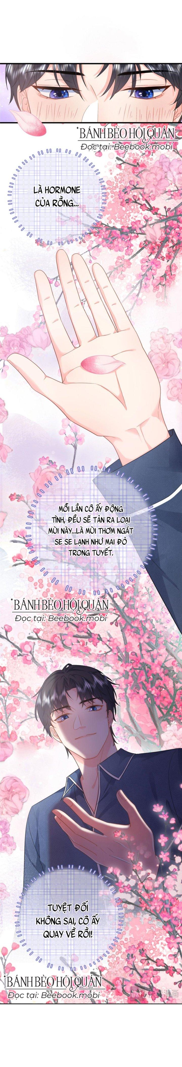 Bé Rồng Đột Kích! Mami Vừa Cay Vừa Độc Chapter 9 - 11